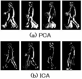 From these basis images, we can see that the PCA basis images represent the frequency of body movements, which means that both arms and feet are the most frequent movement in a walking motion.