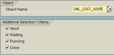 5. Call transactionr3am1 (Monitor Initial Download) 6. Enter the Object Name DNL_CUST_ADDR. 7. Push the Execute button. 8.