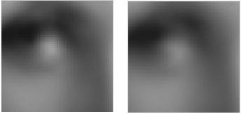 The other approach that proposed in [12], to retain the visual quality and performance of the fused image with reduced computations, a discrete cosine harmonic wavelet (DCHWT)-based image fusion is