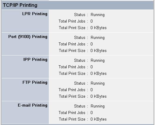 TCP/IP Printing In this field, you can monitor the status of your printing tasks through TCP/IP.