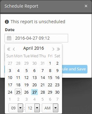 Click the 'Schedule' button at the bottom of the 'Generated Reports' area. The 'Schedule Report' dialog will be displayed.