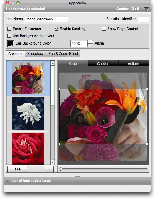 CREATING AN APP STUDIO ISSUE Contents tab 7 Enter a name for the slideshow in the Item Name field. This name displays in the List of Interactive Items area in the bottom of the App Studio palette.