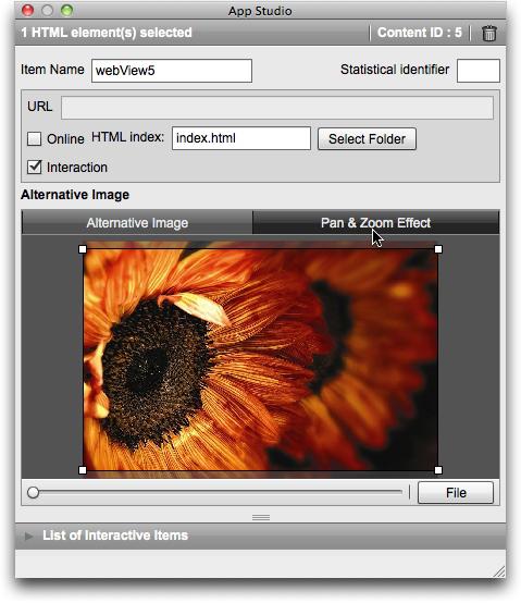CREATING AN APP STUDIO ISSUE HTML options 4 Enter an internal name for the picture in the Item's Name field.