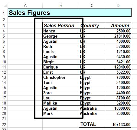 Excel 2013 Advanced Page 129 Select a cell within the Sales Person list.