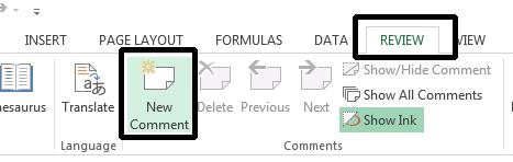 Excel 2013 Advanced Page 205 This will display the Note