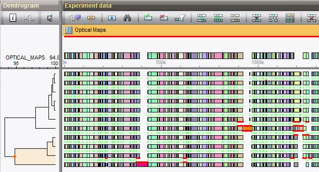 WHOLE GENOME MAPS ANALYSIS MODULE The new Whole Genome Maps module is designed to analyze high resolution, ordered whole genome