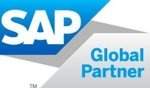 Optimizing SAP Performance: