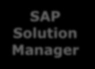 business requirements quickly SAP Solution Manager Management