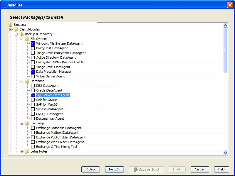 The Windows File System idataagent is mandatory, however the SQL Server idataagent is not mandatory, but