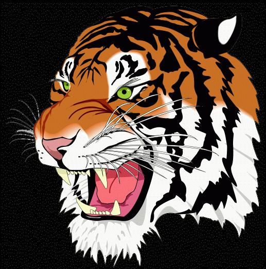 What is Tiger Major vector graphics sample Khronos