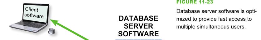 11 Database Management