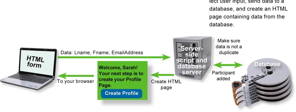 11 Databases and the Web The process of sending data to a database