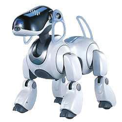 The robots in the RoboCup four legged league are Sony ERS-7 four-legged AIBO robots (Figure 1). The robot s vision device is a camera mounted on the head of the robot.