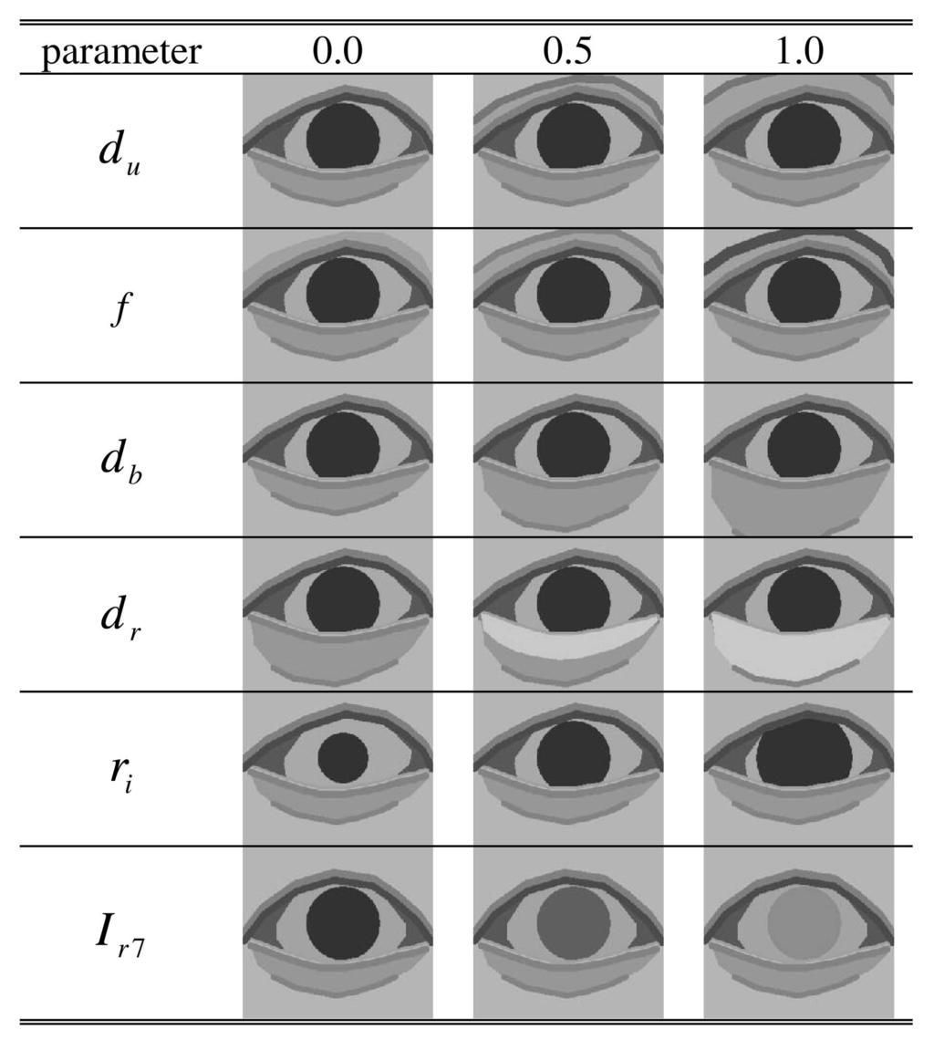 MORIYAMA ET AL.: METICULOUSLY DETAILED EYE REGION MODEL AND ITS APPLICATION TO ANALYSIS OF FACIAL IMAGES 741 TABLE 2 Appearance Changes Controlled by Structure Parameters Fig. 3.