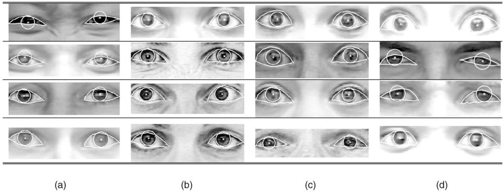 MORIYAMA ET AL.: METICULOUSLY DETAILED EYE REGION MODEL AND ITS APPLICATION TO ANALYSIS OF FACIAL IMAGES 745 TABLE 5 Example Results for a Variety of Upper Eyelids (a) Single-fold eyelids.