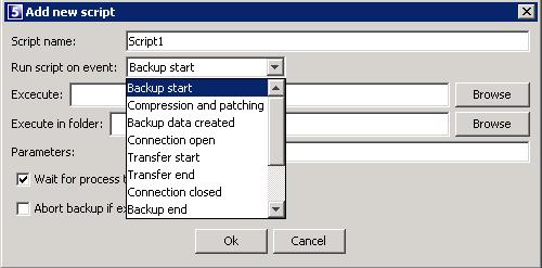 After the installation, open the SE Backup Client interface. Configuration and use To add scripts, open the Tools menu, select Plug-ins and click on Scripting.