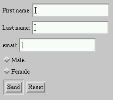 18.2.1 The INPUT element <FORM action="http://somesite.