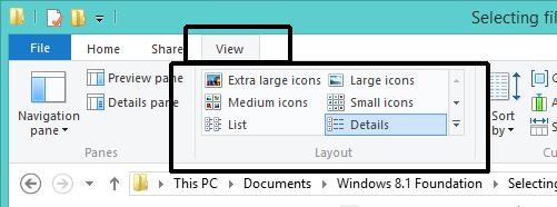 Click on the View tab within the Ribbon and take a look at the Layout section of the Ribbon.