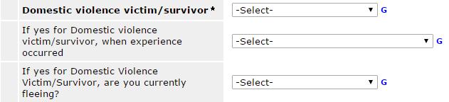 20 Domestic Violence Domestic Violence victim/survivor: select best match.