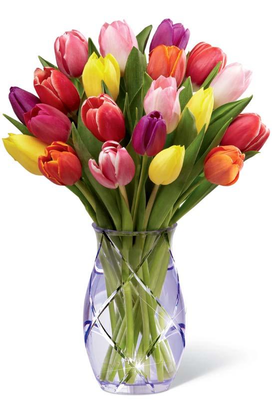 Spring 2016 Telephone Reference Sheet The FTD Touch of Spring Bouquet (16-S1) STANDARD Approx. 18"h x 16"w (46h x 41w cm) deluxe Approx. 18"h x 19"w (46h x 48w cm) CONTAINER: 1605 premium Approx.
