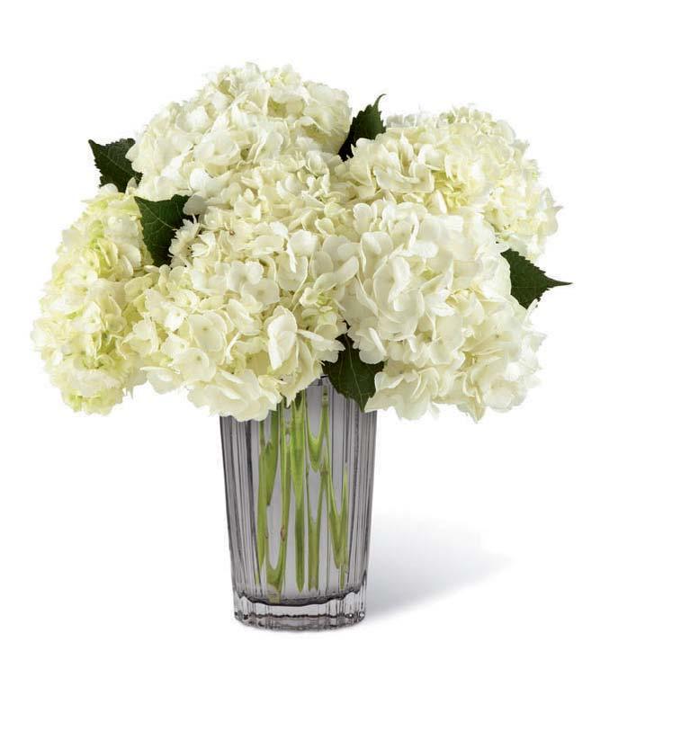 mother s day 2016 Telephone Reference Sheet The FTD Perfect Day Bouquet for Kathy Ireland Home (16-M7) STANDARD Approx. 17"h x 13"w (43h x 33w cm) Deluxe Approx.