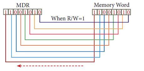 The data bus has eight parallel wires to transfer data either from MDR to word or word to MDR based on the control(read or write).