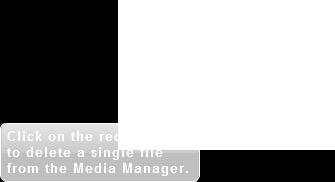 section of the Media Manager. 2.8 Deleting files from the Media Manager You can also remove a file from the Media Manager.