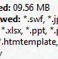 File extension information.