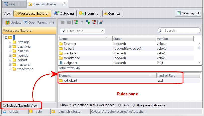 Displaying the Include/Exclude View To display the Include/Exclude View, select the Include/Exclude View check box at the bottom of the Explorer pane.