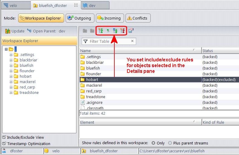 3. In the Details pane, select the directory or file for which you want to specify the rule.
