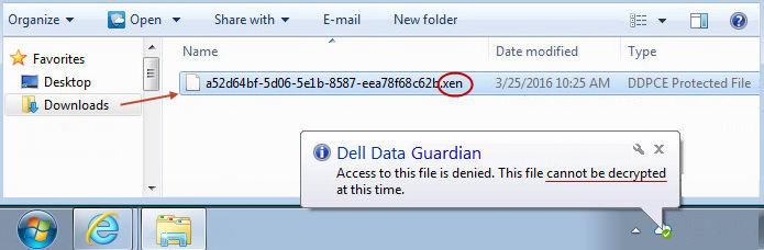 To make Data Guardian easy to use on your local computer, when you open a folder on the DDG VDisk virtual drive, files from the cloud are automatically decrypted and display in cleartext even though