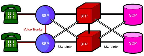 Vrste signalizacijskih točk STP (signal transfer point) točka, ki usmerja signalizacijske informacije iz enega linka na drugega (nekakšen SS7 router); lahko vključuje tudi SCCP; lahko vključuje
