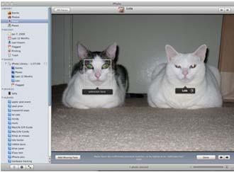 com/article/news/iphotos_faces_recognizes_cats Slide credit: Lana Lazebnik Slide credit:
