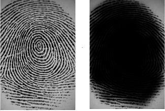 We divide the altered fingerprints into 3 types: a) Obliteration, b) Distortion, c) Imitation A Challenge to Analyze and Detect Altered Human Fingerprints a) Obliteration Friction ridge patterns on
