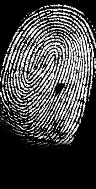 capture(); if (scanned_fingerprint == stored_fingerprint)