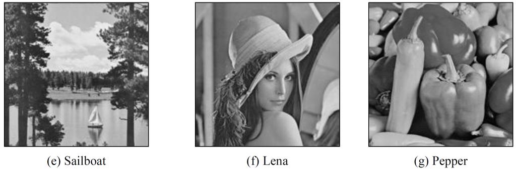 Meaningful Shadows for Image Secret Sharing with Steganography and Authentication Techniques 349 Figure 2.