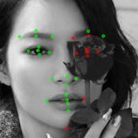Recently, there are tremendous improvements of the facial landmark detection algorithms on general in-the-wild images (Figure 1(a)).