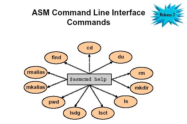 Management Flexibility with ASM Command Line Interface (CLI) Interactive Unix shell-like CLI for ASM file administration ASMCMD> ls