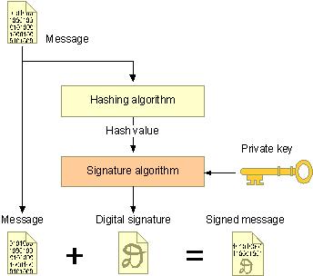 cryptographic hash Then, encrypt the