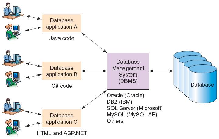 Database Management System reading, updating and deleting data data backup and recovery controlling concurrency, consistency, and enforcing other rules providing security Enterprise Database System