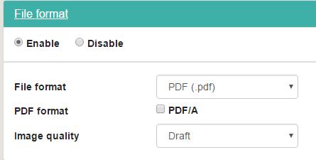 Activity Setup: Output File Format File format options File format settings are applied to the output document. Enable/Disable select Enable if you want to set file format options for this activity.