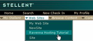 3. This opens the home page of the Ravenna Hosting web site.