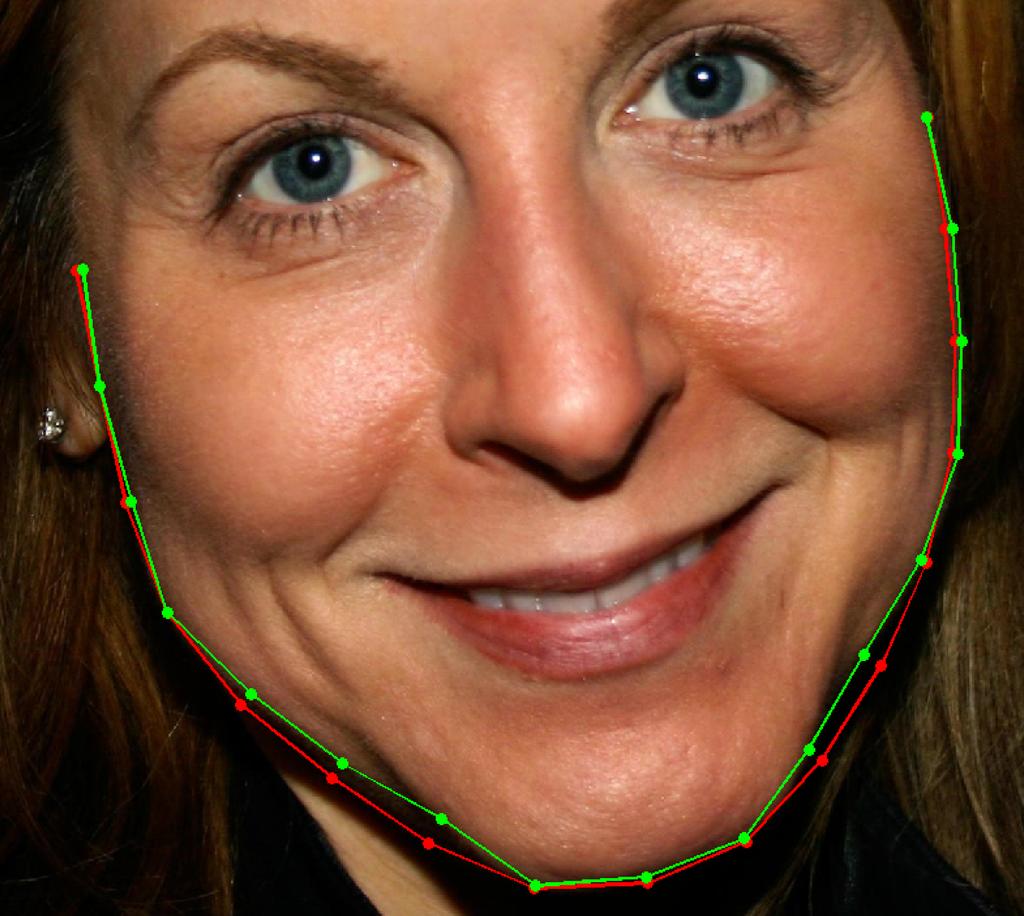 [3] [4] (a) (b) (c) [5] [6] (d) (e) (f) Figure 10: A face swapping example where the sample face and its contour refinement result from Figure 1 (a) is warped into background face (b) using face