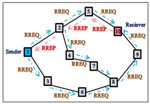 After receiving the RREQ, the receiver reply back by sending RREP through the complete same route obtained from backward learning to the sender node.