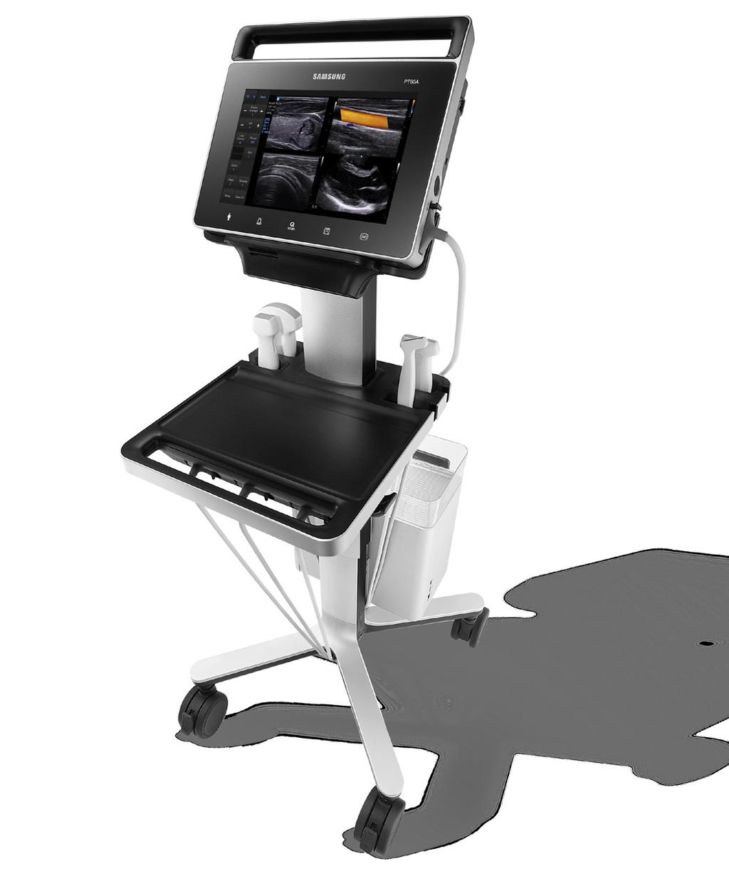 This compact-sized ultrasound system is engineered to meet the needs of the portable market and