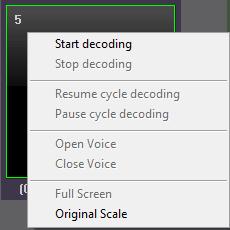 The real-time decoded video will be displayed on the live view panel, and the current decoding status can be viewed in the Channel list.