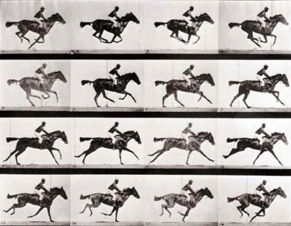 Complexities of Natural Motion Natural motions are complex, as shown by Eadweard Muybridge's horse photographs (1878).