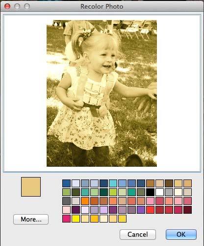 Click OK once you have finished applying effects. Recolor Photos Click on this button to open the Recolor Photo dialog.
