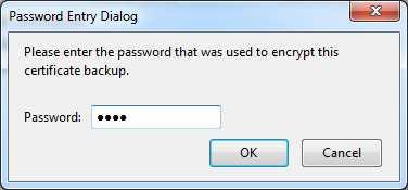 The user selects the file and clicks Open, then a new window requiring the password used