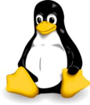 Operating Systems and Using Linux Topics What is an